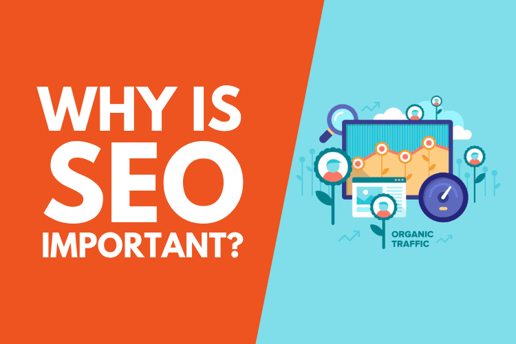 Read more about the article Why SEO is Important?